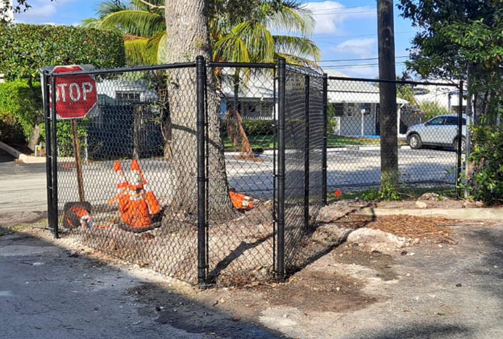 Commercial Black Vinyl Chain Link with Rollout Gates – Fort Lauderdale, FL