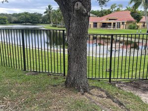 CF10 bronze mechanical aluminum fence installed around a large tree beside a waterfront lawn in Weston, FL.